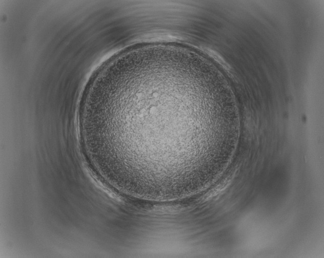 X0000068810840200605051143