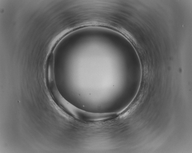 X0000068810854200605051143