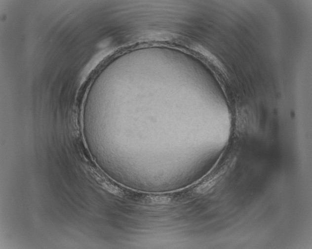 X0000068810878200605051142
