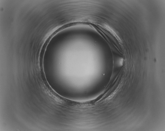 X0000068810884200605051142