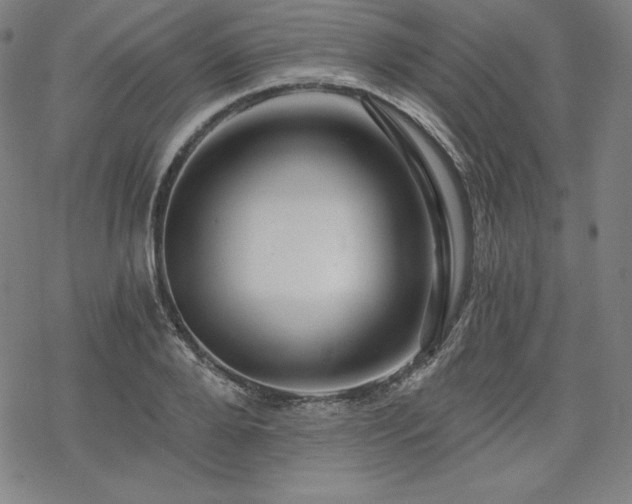 X0000068810888200605051142