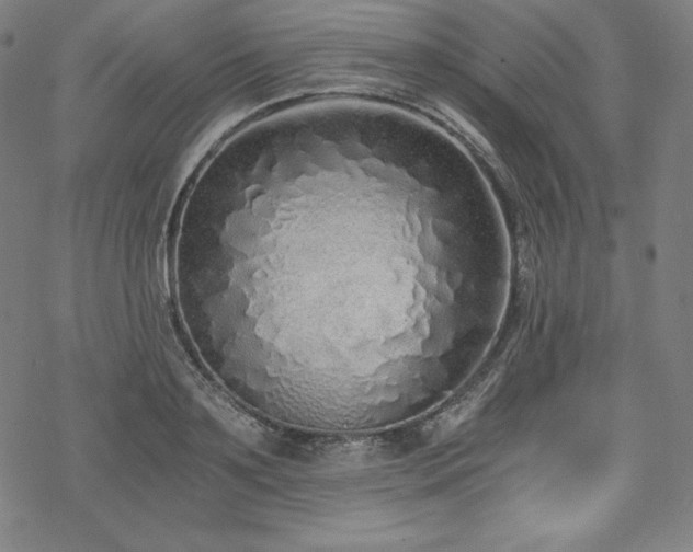 X0000068810891200605051142