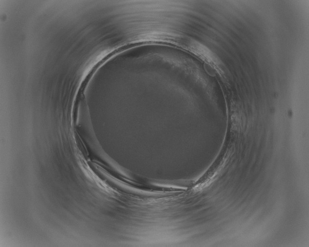 X0000068810892200605051142