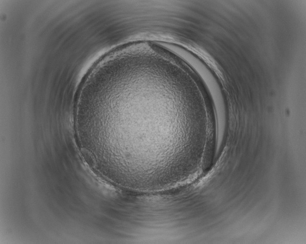 X0000068810896200605051142
