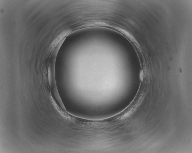 X0000068810905200605051142