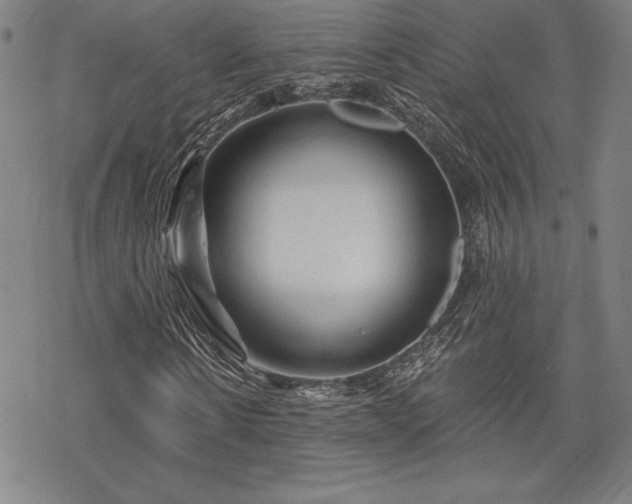 X0000068810914200605051141