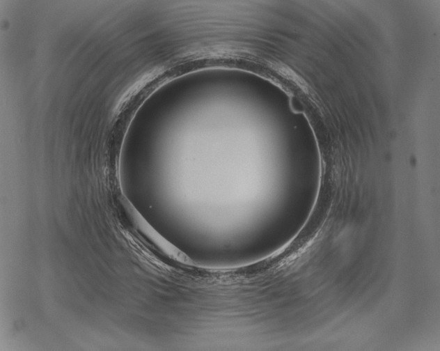X0000068810922200605051141