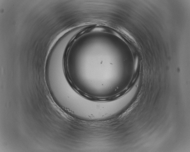 X0000068810940200605051141