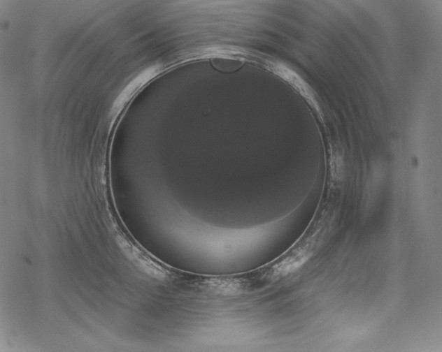 X0000068810954200605051142