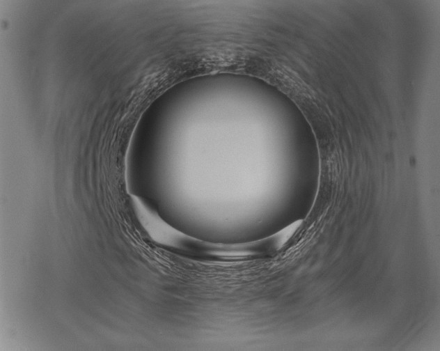 X0000068810961200605051141