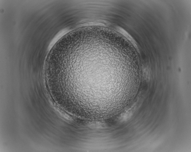 X0000068811002200605051140