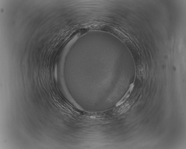X0000068811010200605051139