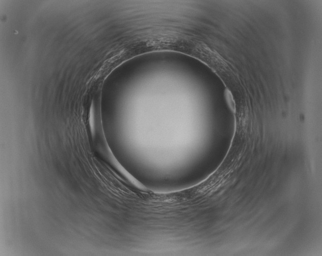X0000068811012200605051139