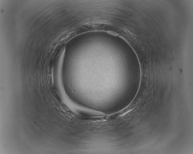 X0000068811014200605051139