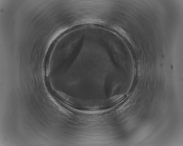 X0000068811024200605051140