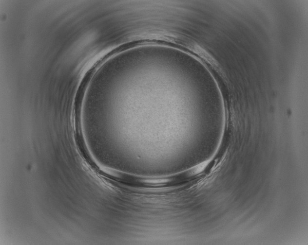 X0000068811028200605051140
