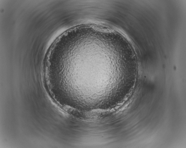 X0000068811048200605051140