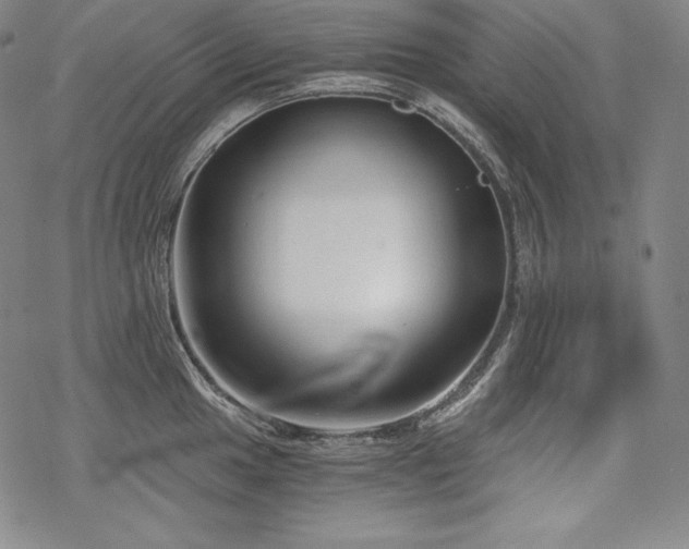 X0000068811049200605051140