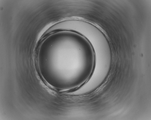 X0000068811054200605051140