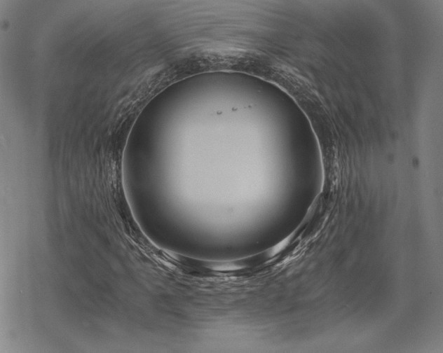 X0000068811061200605051139