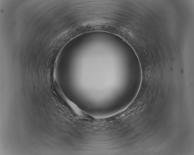 X0000068811062200605051139