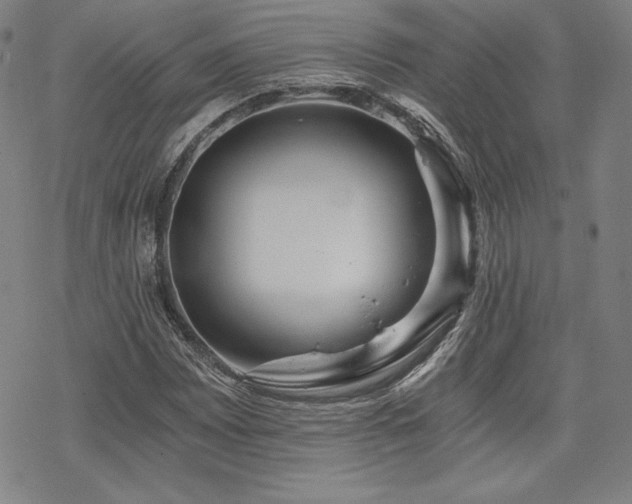 X0000068811065200605051139
