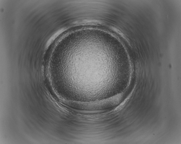 X0000068811066200605051139