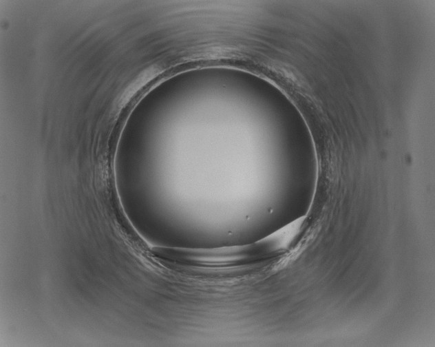 X0000068811073200605051139
