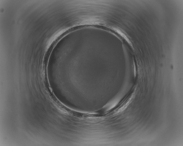X0000068811077200605051139