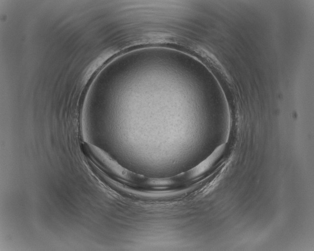 X0000068811081200605051139