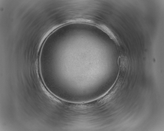 X0000068811100200605051139
