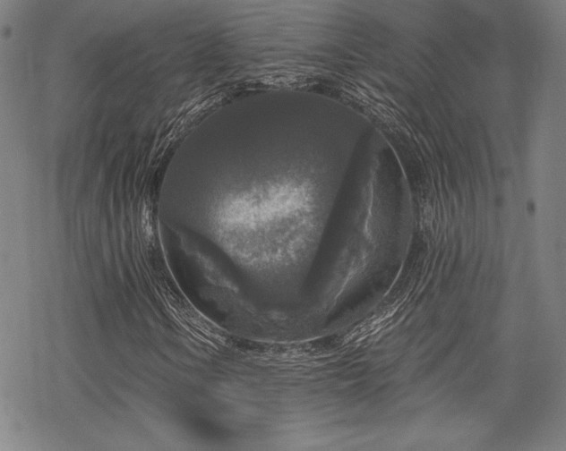 X0000068811106200605051138