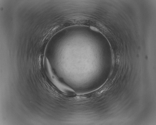 X0000068811108200605051138