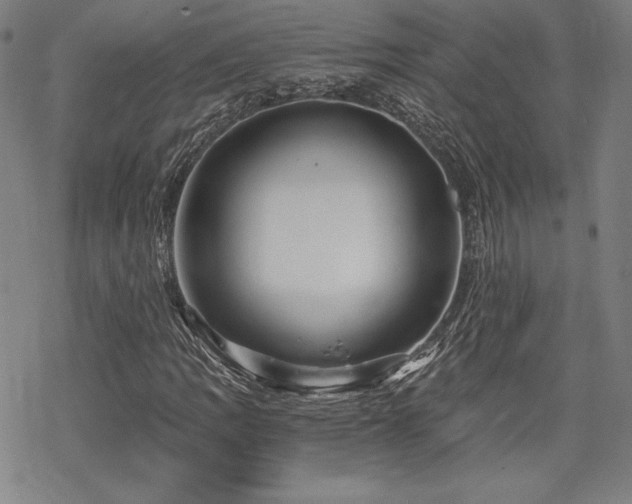 X0000068811109200605051138
