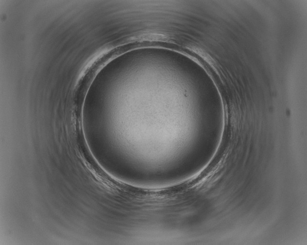X0000068811115200605051138