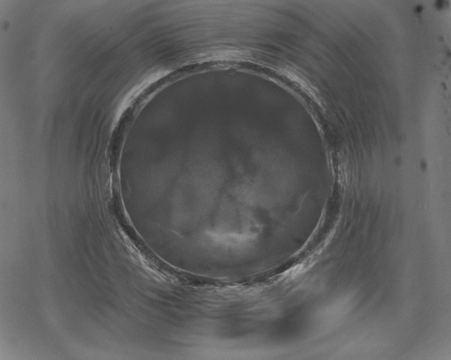 X0000068811117200605051138