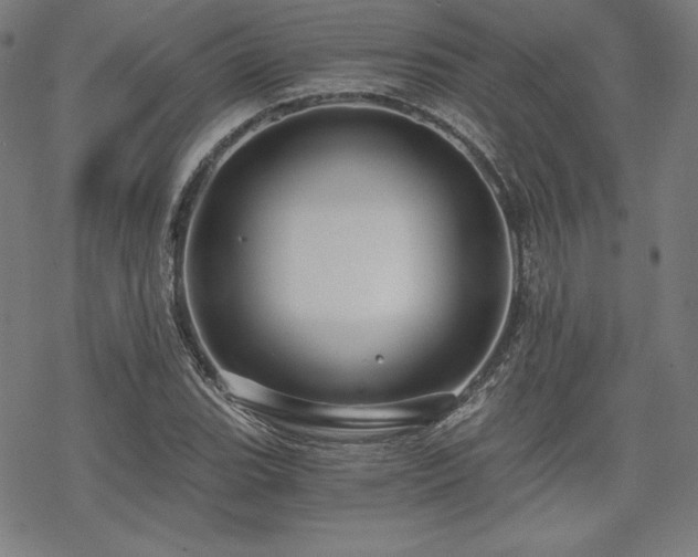 X0000068811119200605051138