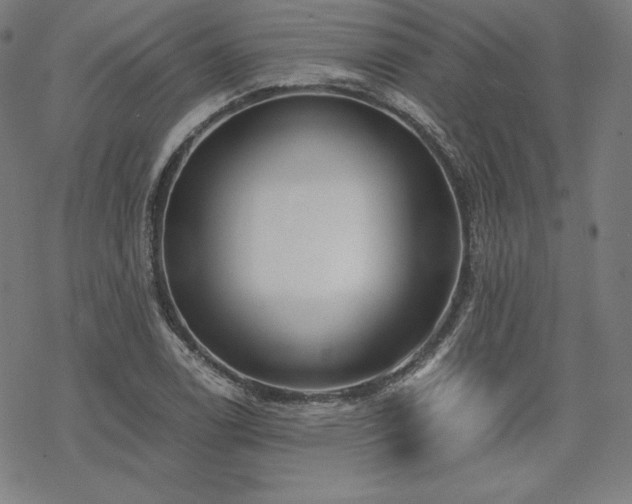 X0000068811122200605051138