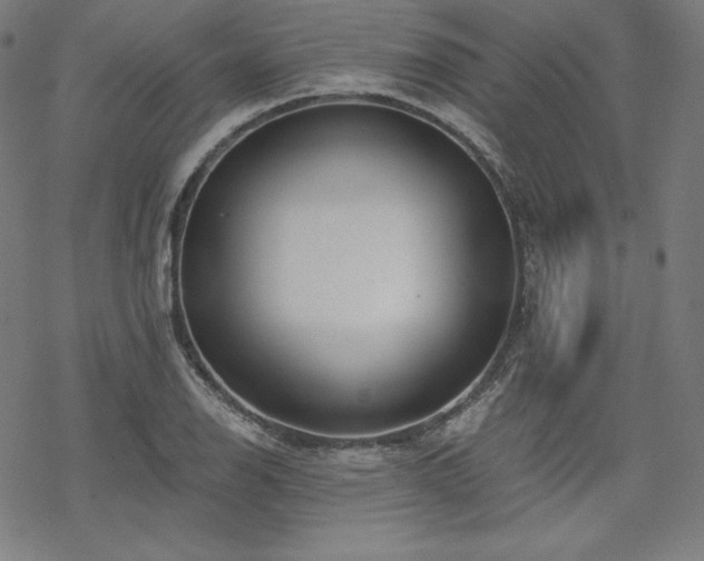 X0000068811126200605051138