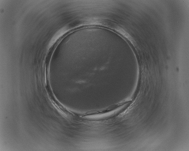 X0000068811127200605051138