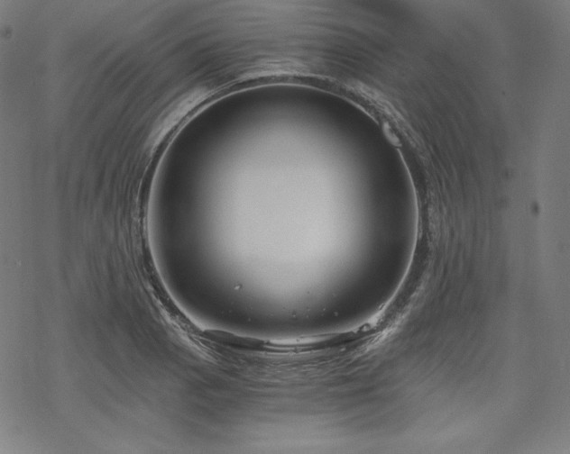 X0000068811129200605051138