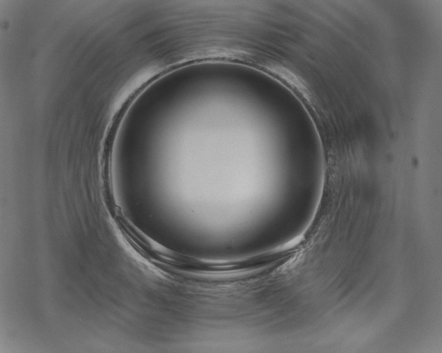 X0000068811135200605051138