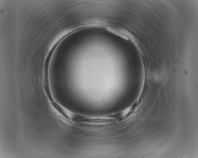 X0000068811147200605051138