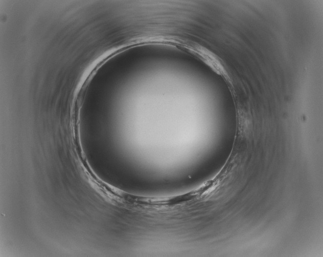 X0000068811148200605051138