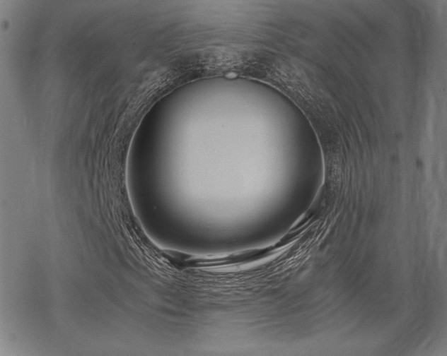 X0000068811153200605051138