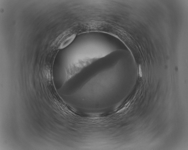 X0000068811155200605051138