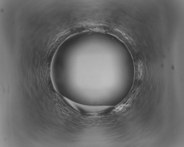 X0000068811157200605051138