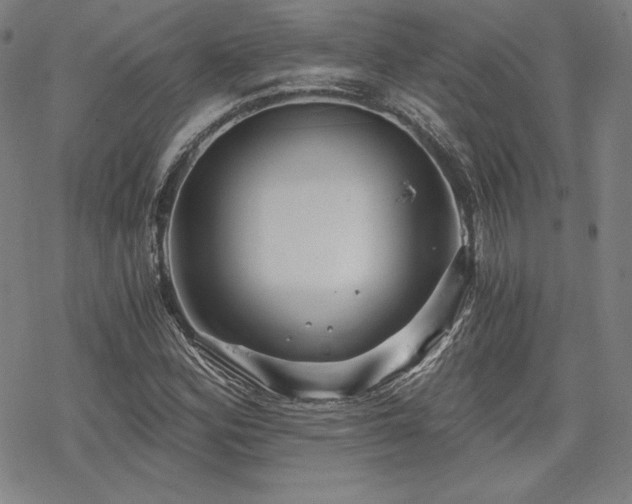 X0000068811164200605051138