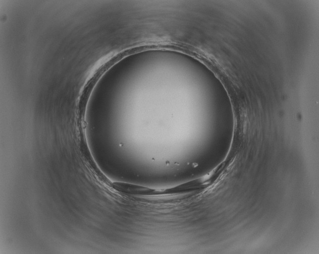 X0000068811168200605051137