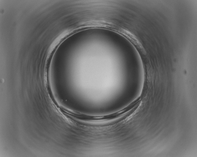 X0000068811188200605051137